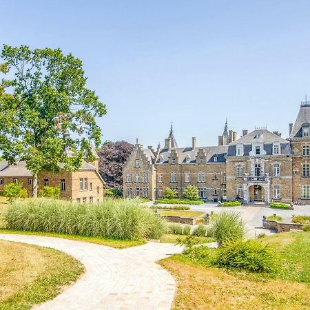 Domaine De Ronchinne - Chateau Et Ecuries Maillen Екстер'єр фото